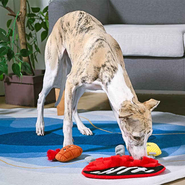 BBQ Grill - Dog Plush Toy