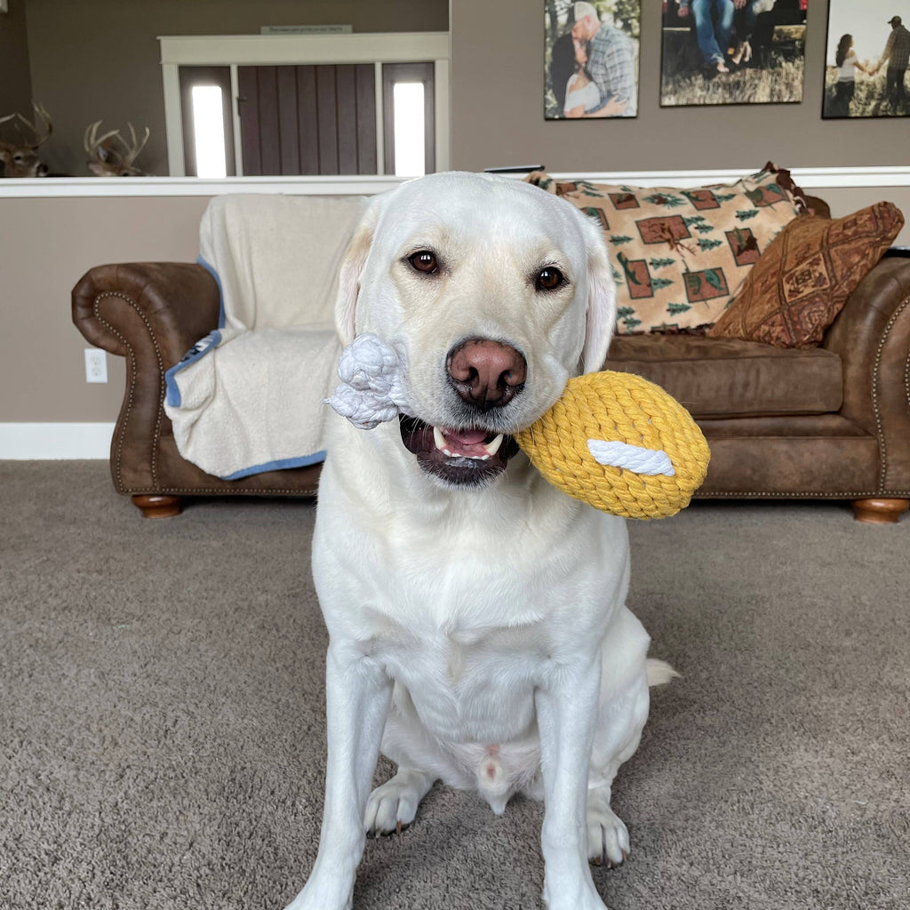 Chicken Drumstick Rope Dog Toy (One Size)