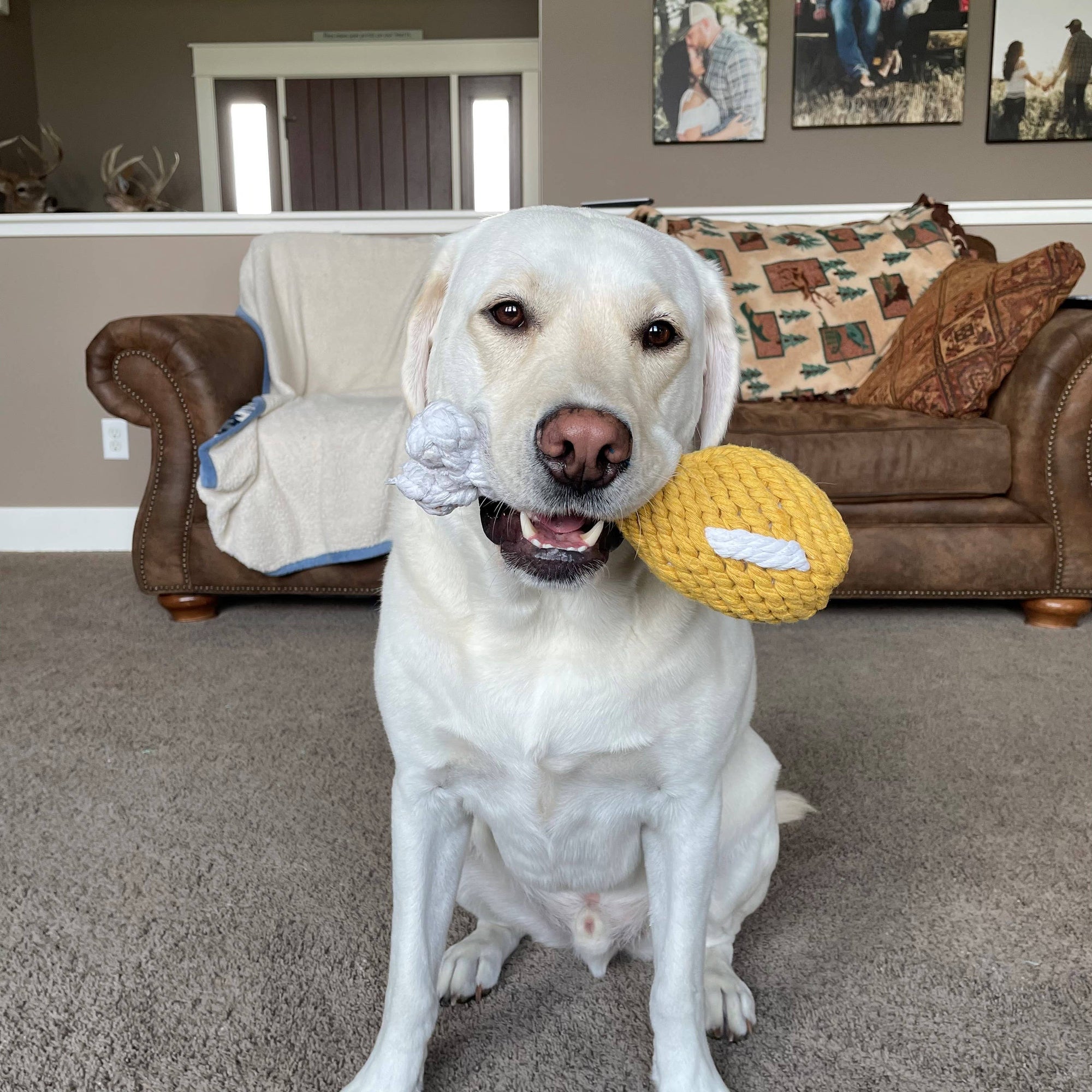 Chicken Drumstick Rope Dog Toy (One Size)
