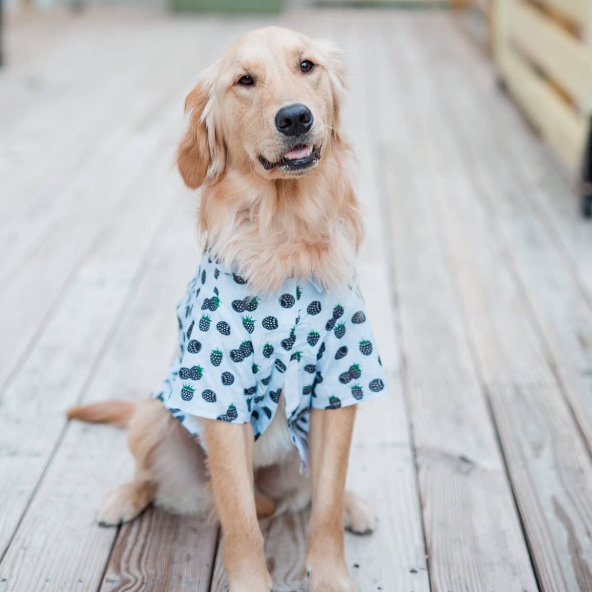 Hawaiian Camp Shirt - Blackberries