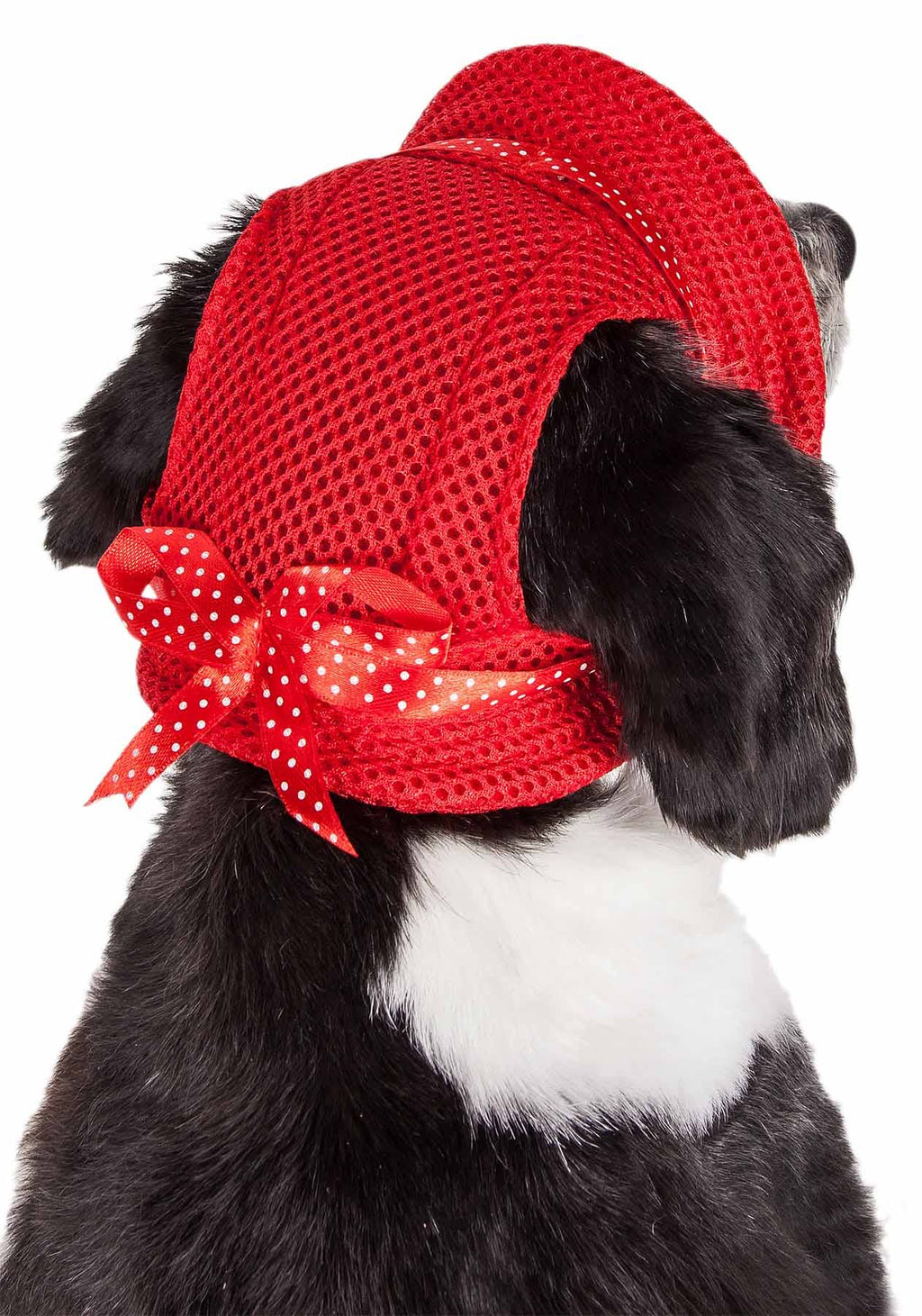 UV Protectant Adjustable Dog Hat Cap