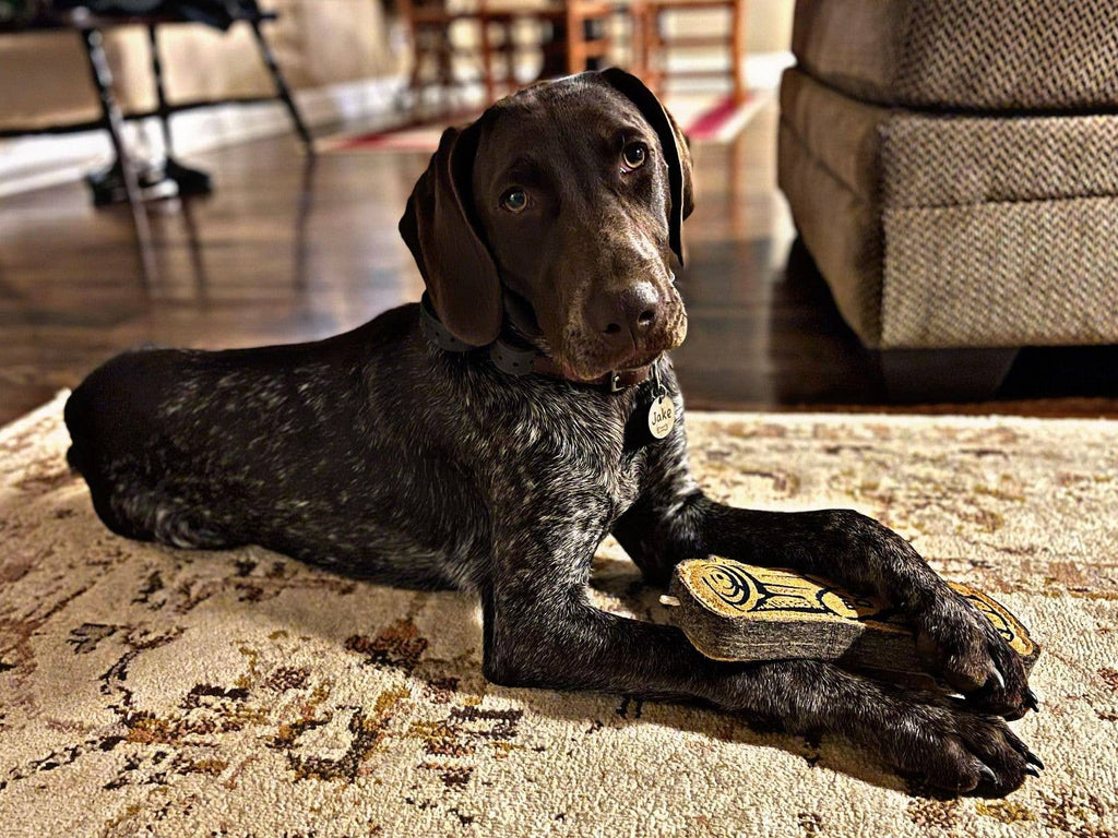 Tall Tails Natural Leather & Wool Love My Dog Log - 9"