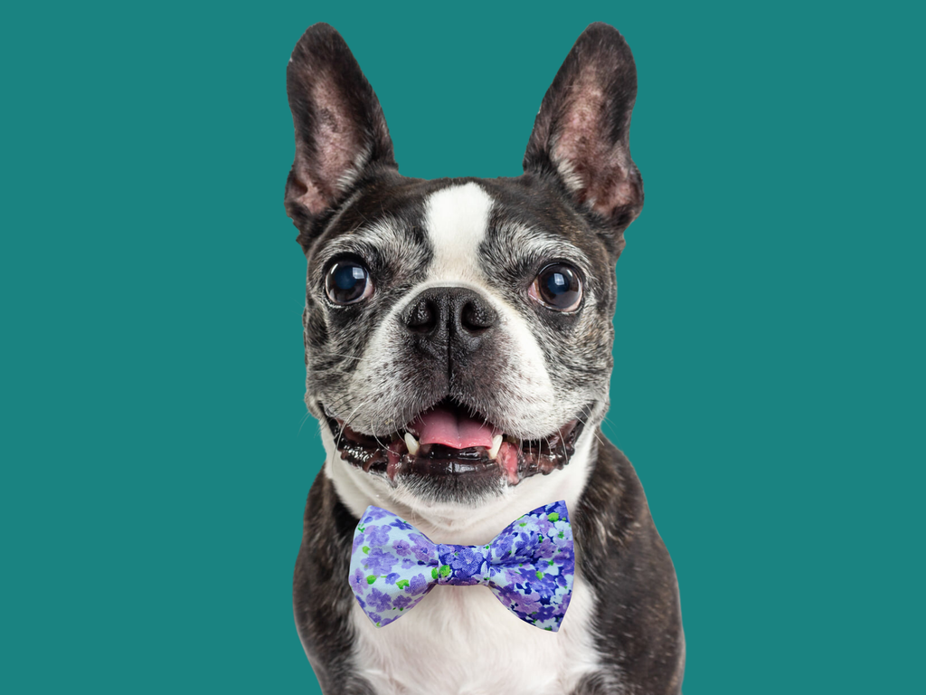 Lilacs Floral Bow Tie