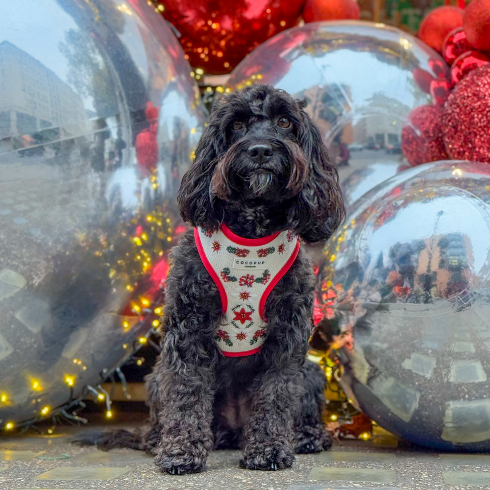 LUXE Embroidered Frosty Flower HARNESS