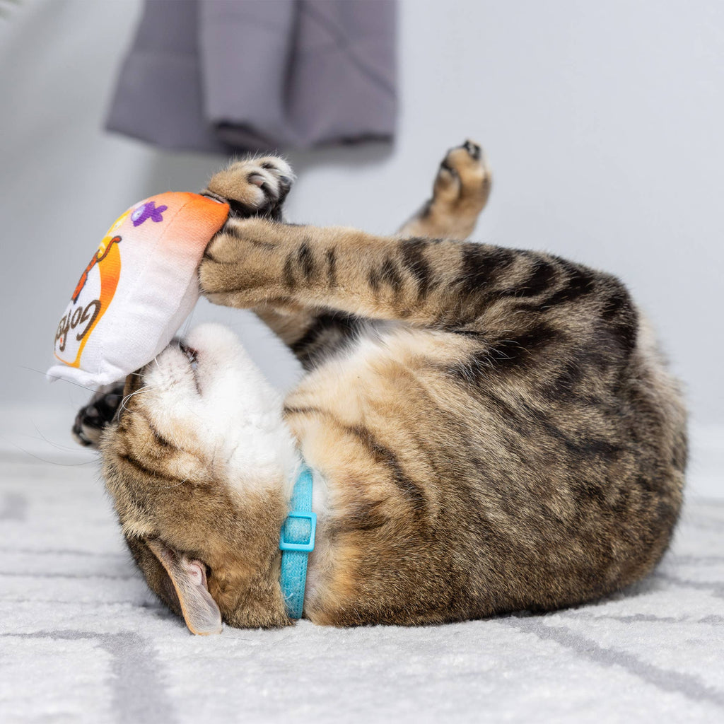 Go Fish Phishy For Cats