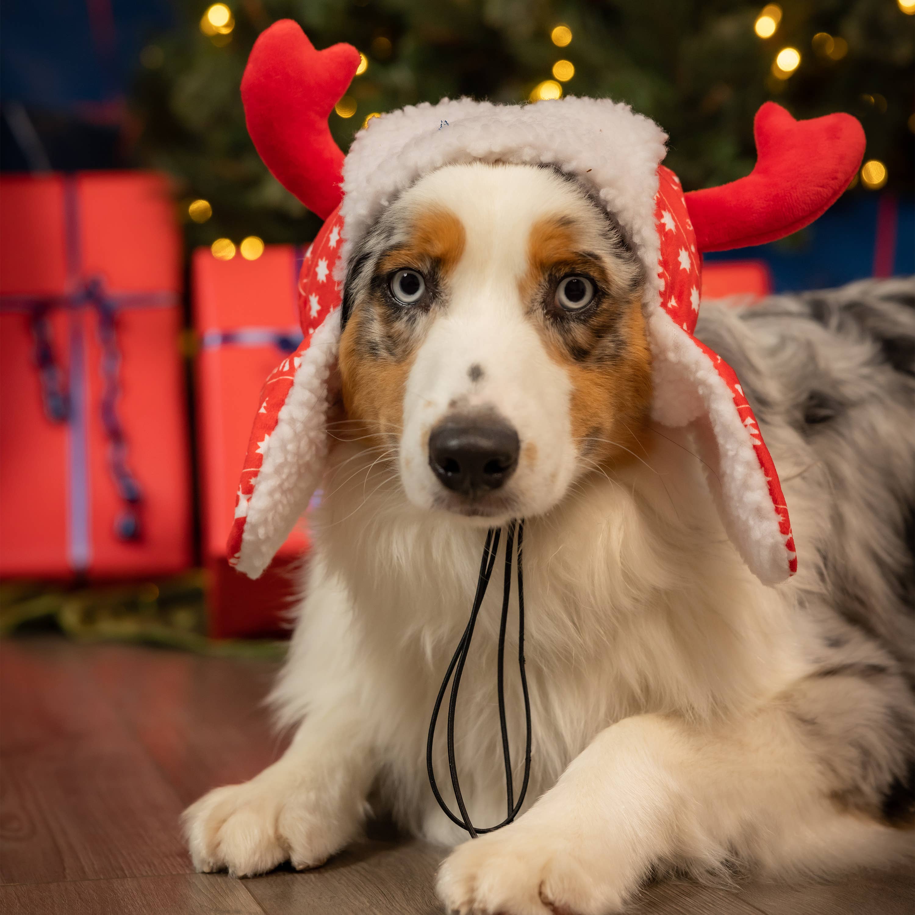 H&K Red Fairisle Antler Hat with SnugFit®