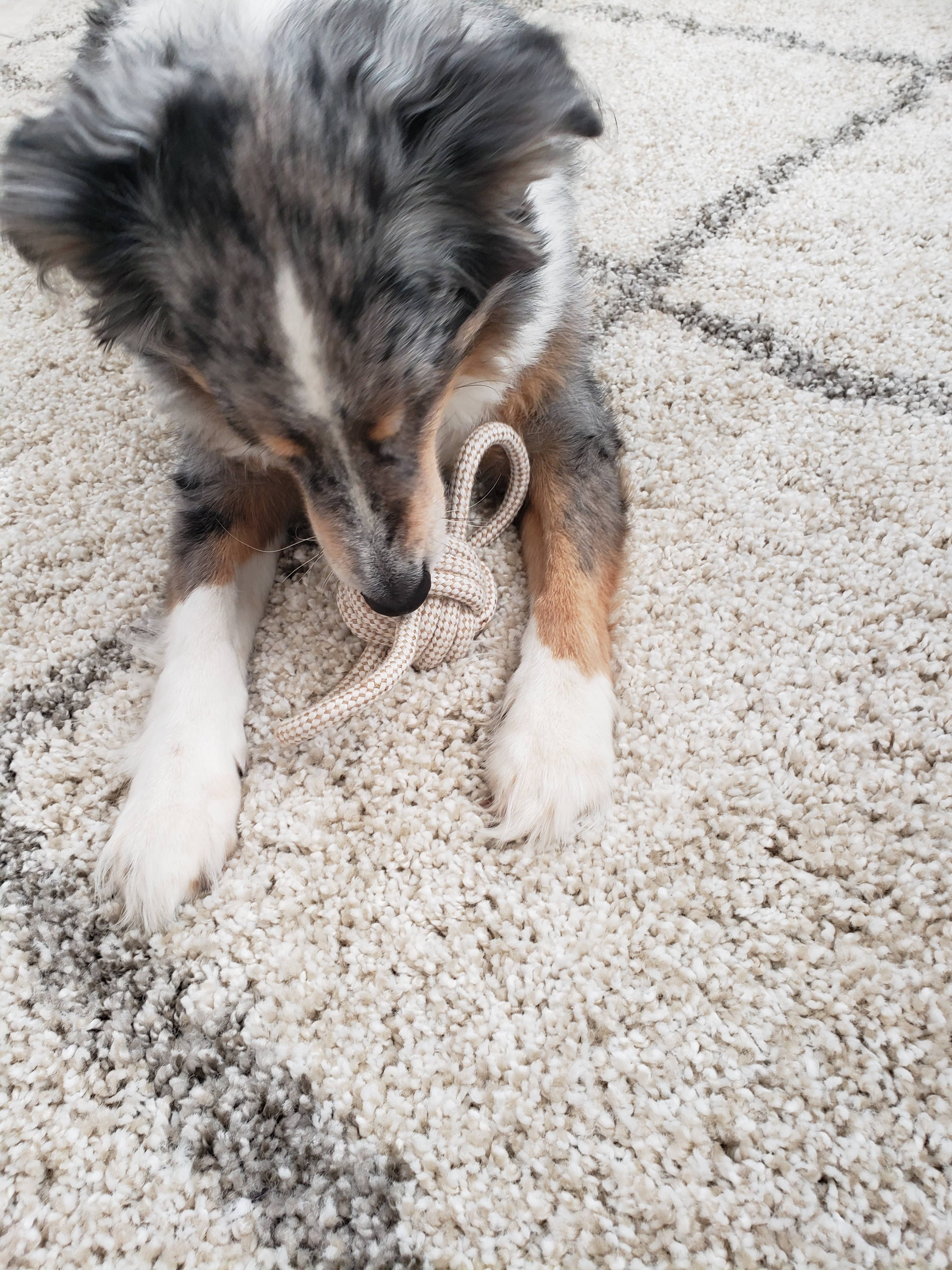 Hemp Rope Toy - Ball With 2 Handles