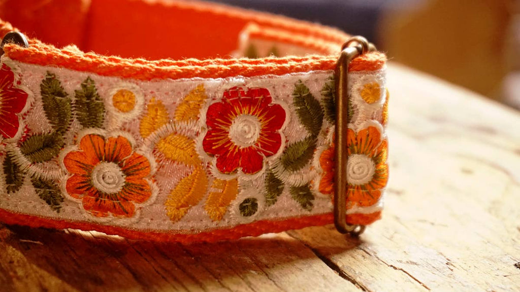 orange collar with floral design