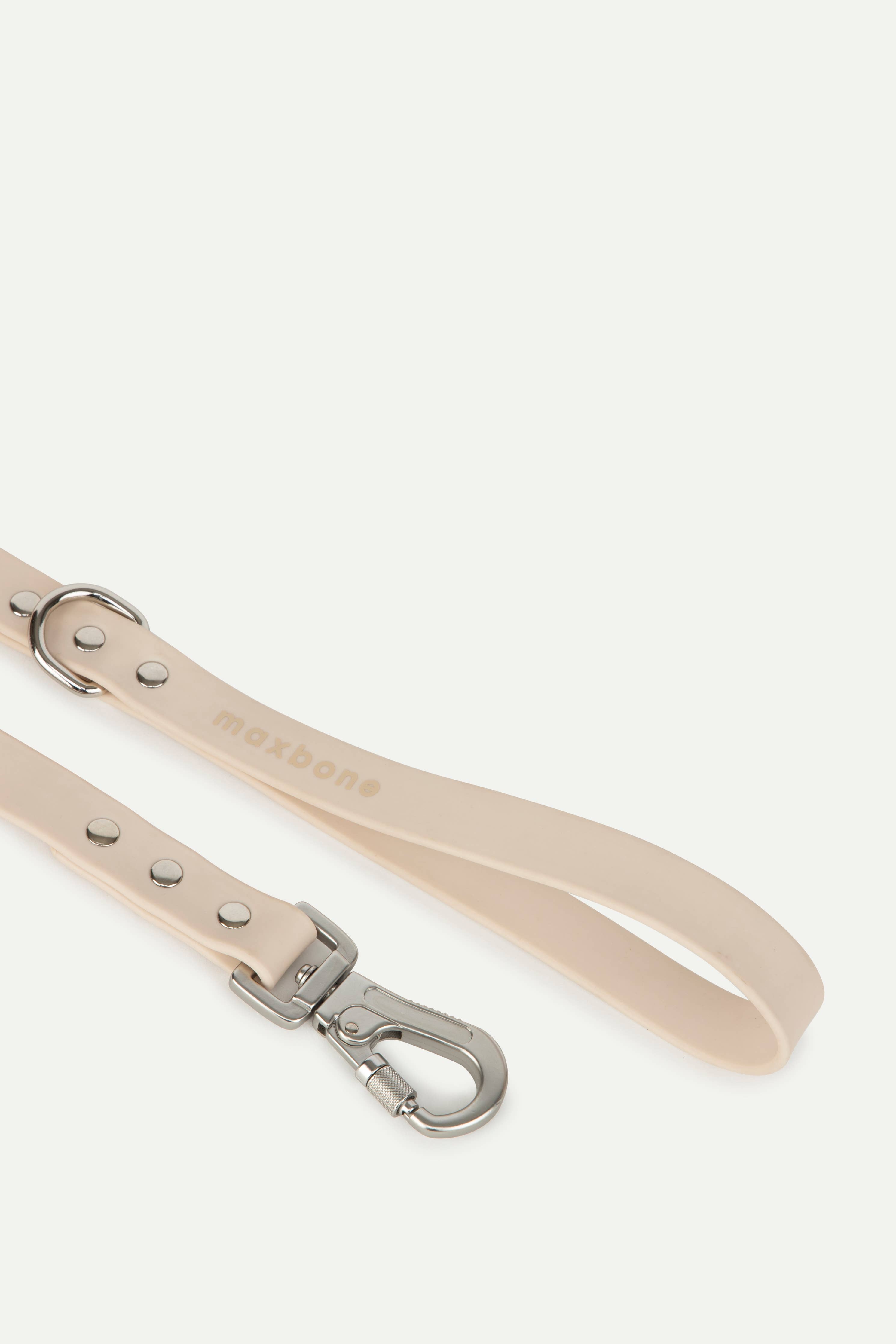 Sand Leash for Dogs