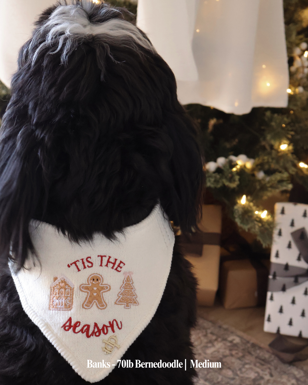 CHRISTMAS DOG BANDANA Falla