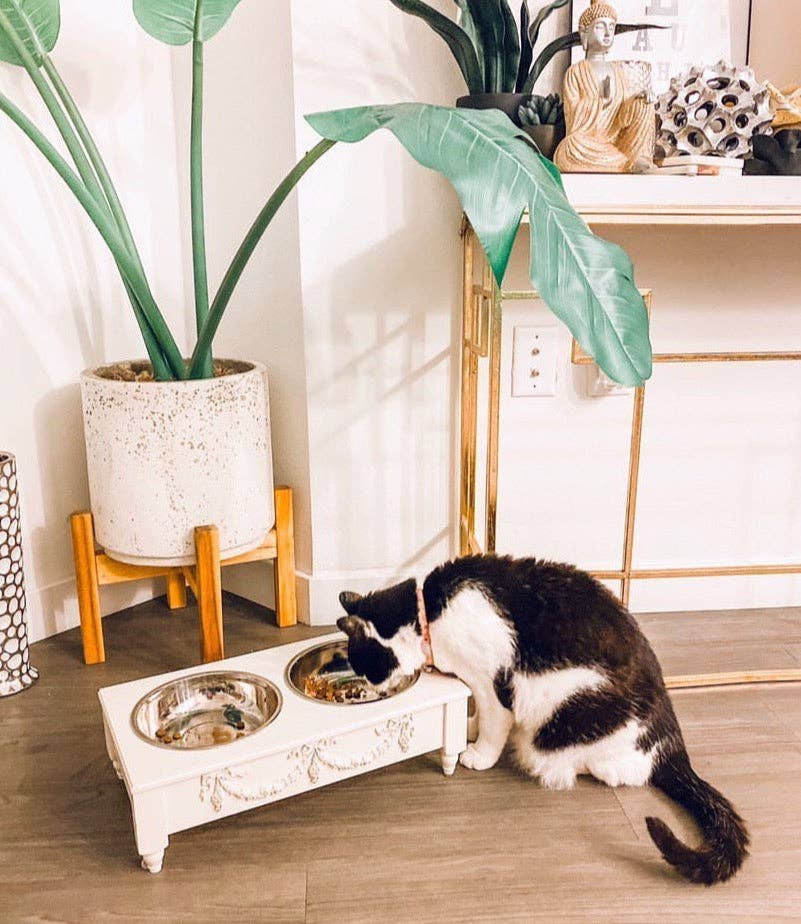 White Elevated Pet Feeder
