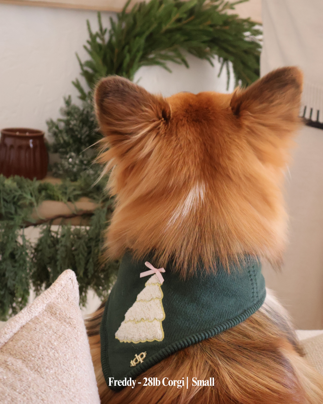 CHRISTMAS DOG BANDANA | TDP FAMILY TREE