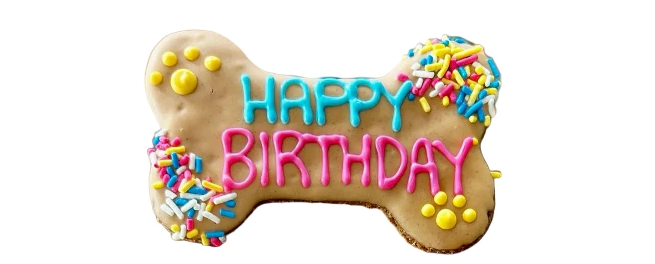 6 inch PB Fiesta Happy Birthday Bone Dog Treats