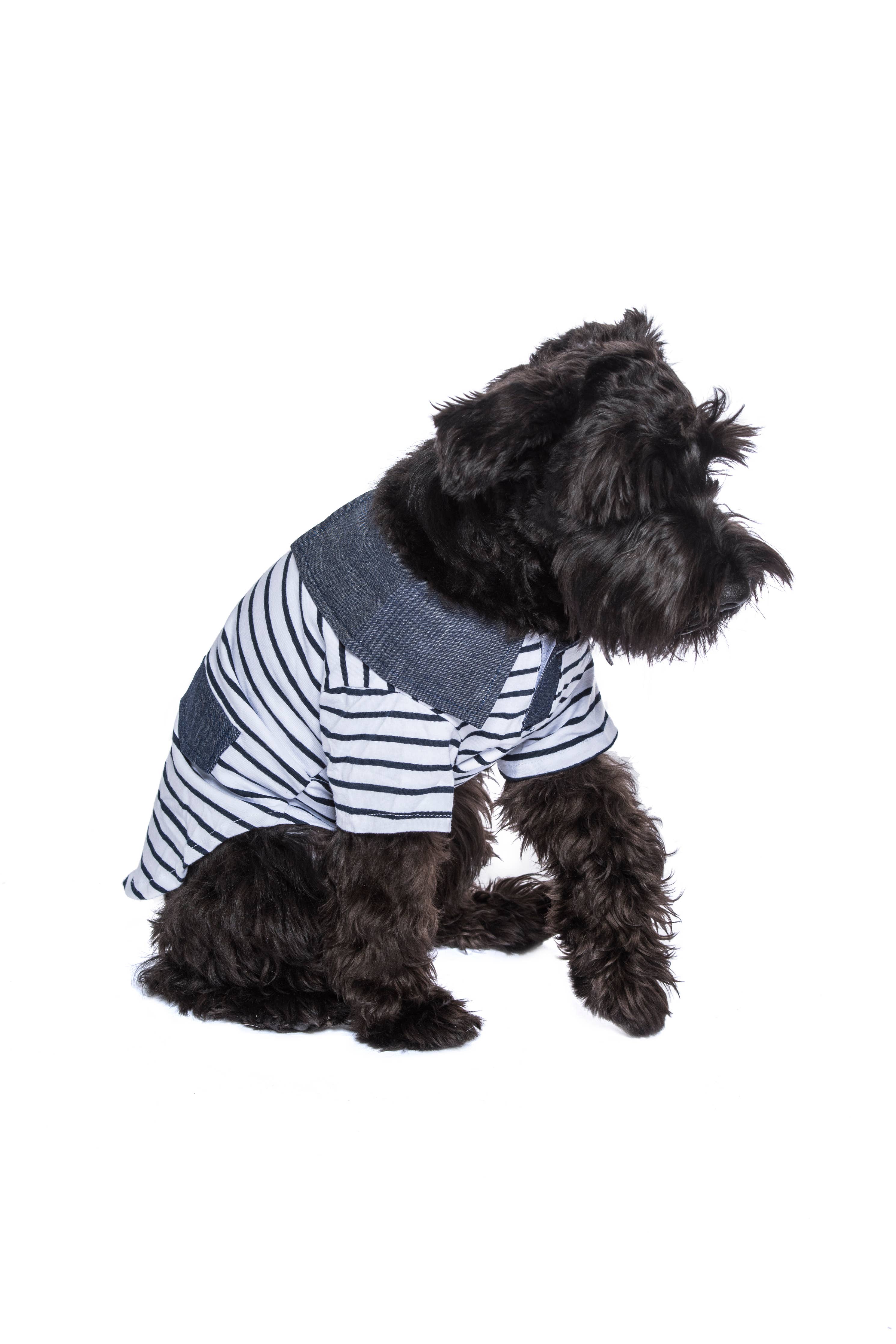 Preppy Boy Polo – Classic & Stylish Polo Shirt for Dogs