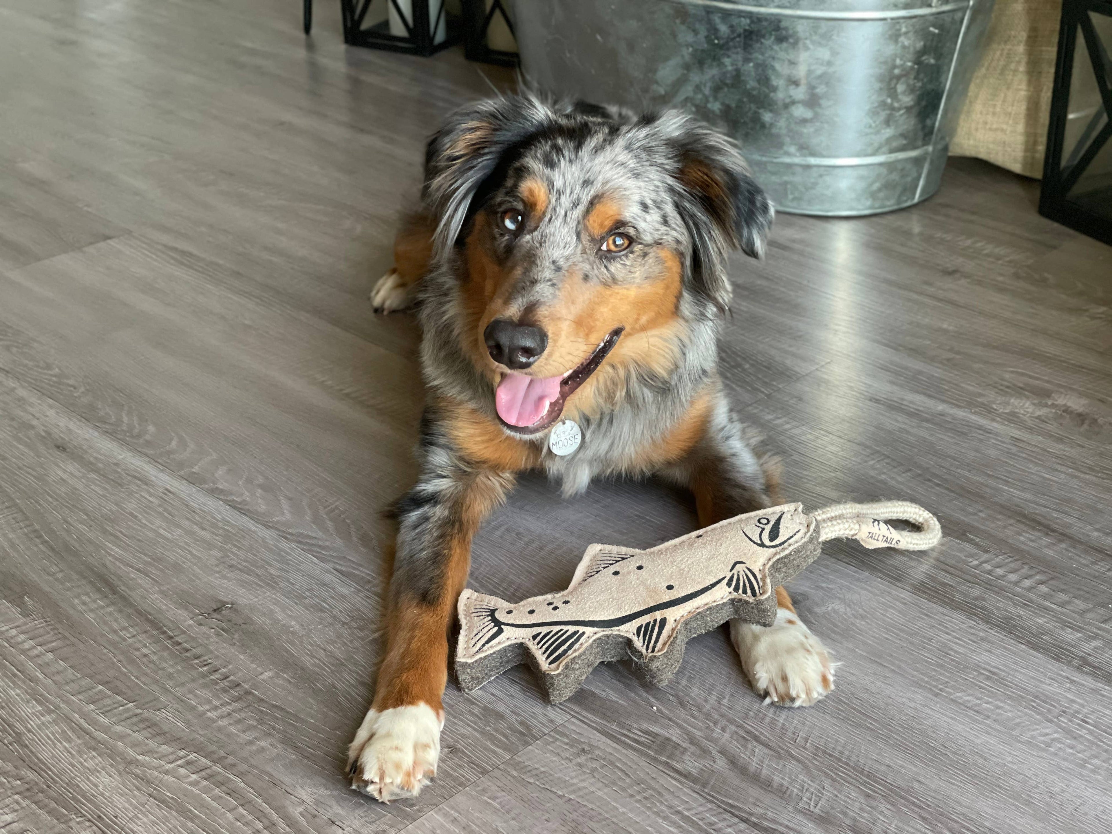 Tall Tails Natural Leather Trout Tug Dog Toy - 16"