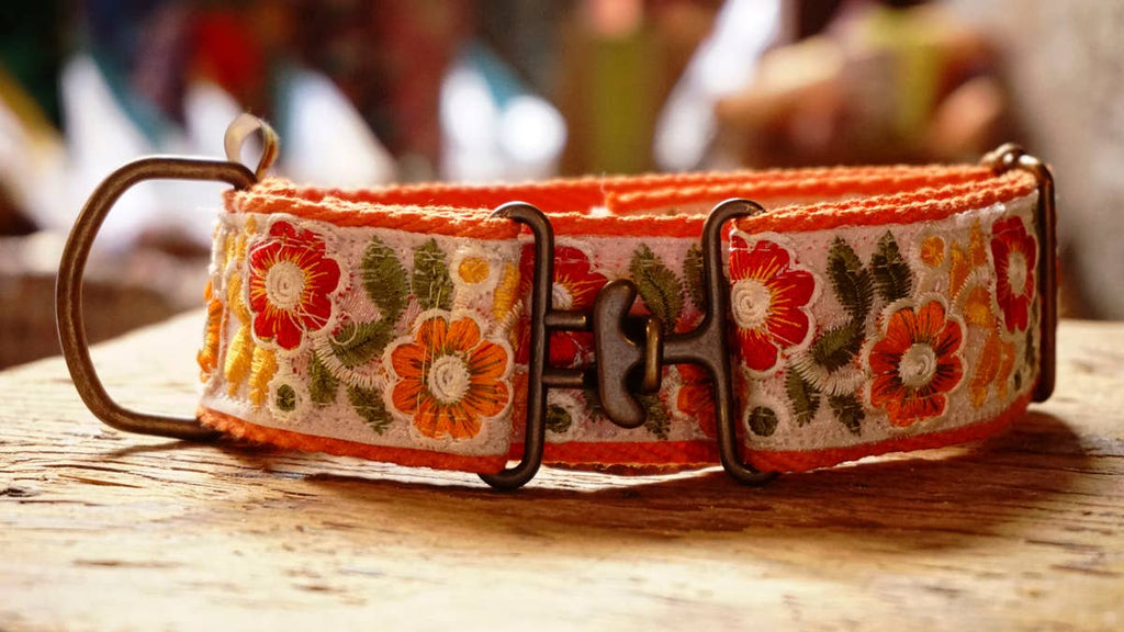 orange collar with floral design