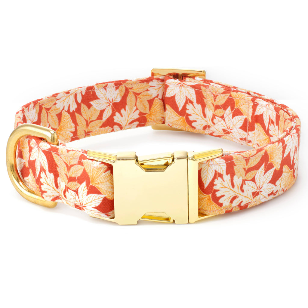Autumn Leaves Rust Fall Dog Collar