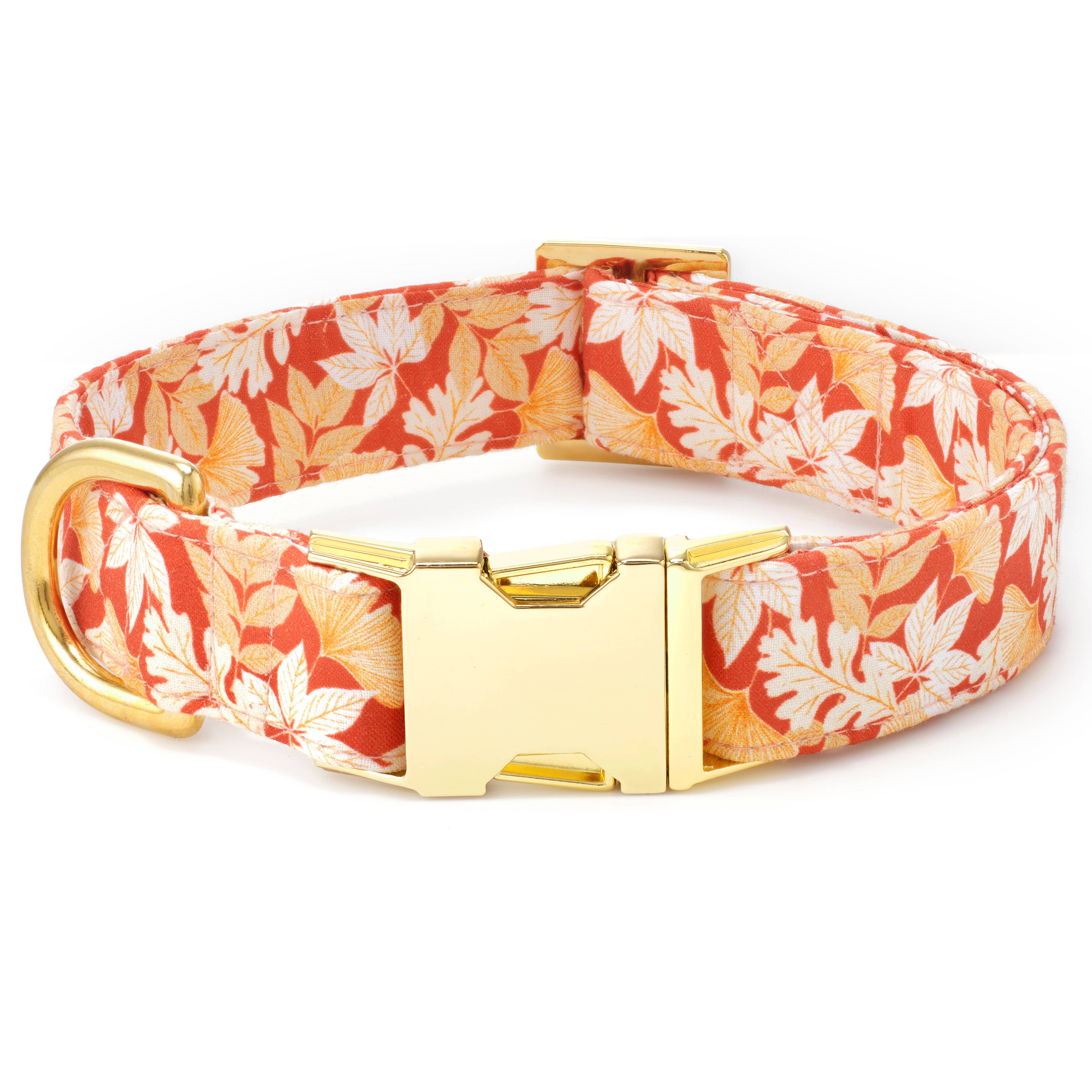 Autumn Leaves Rust Fall Dog Collar