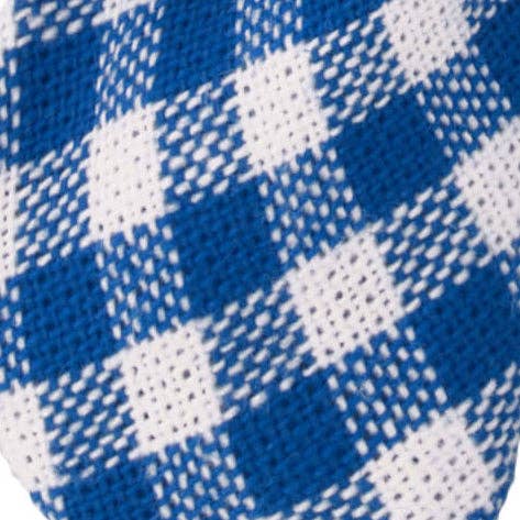 Lake Blue Gingham Waste Bag Holder