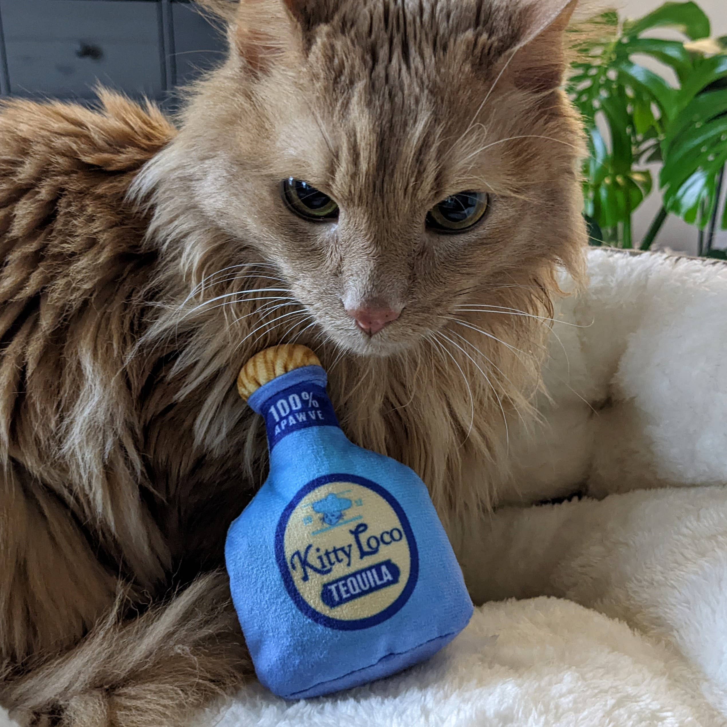 Kitty Loco Tequila Cat Toy