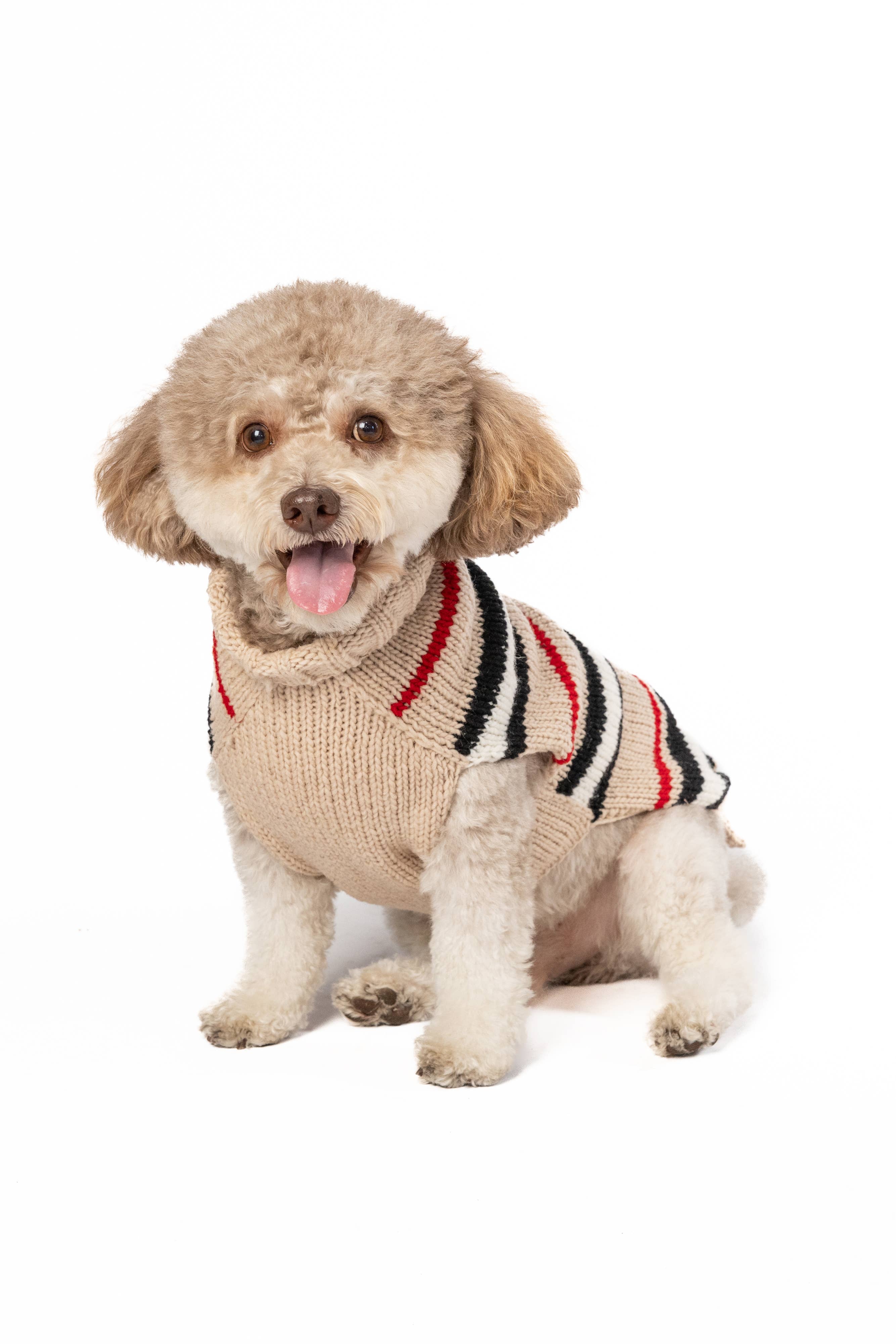 Alpaca Bentley Stripe Knit Dog Sweater