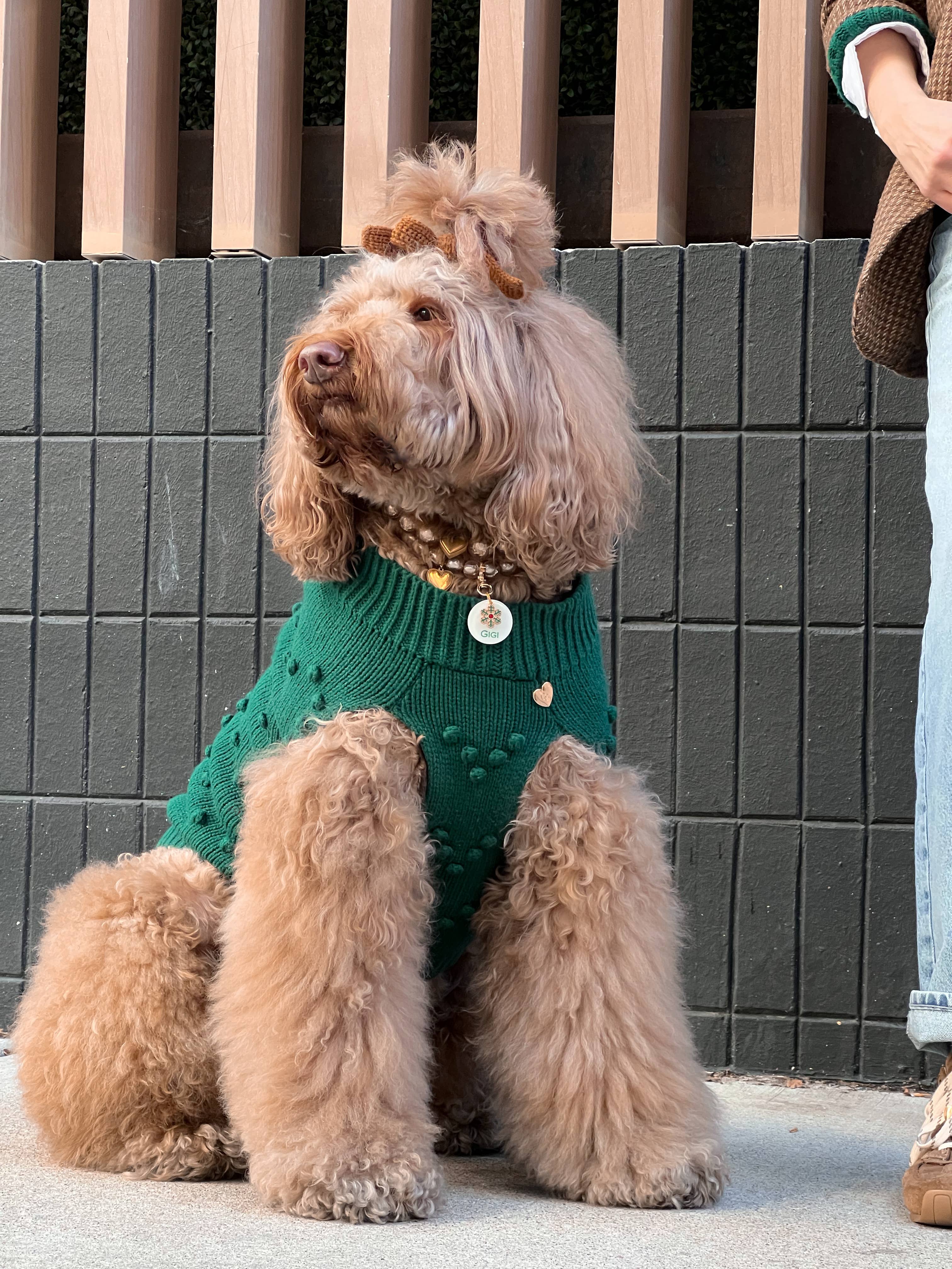 Heartknit Dog Sweater - Evergreen