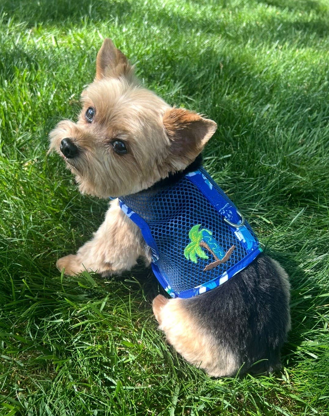 Cool Mesh Dog Harness - Ocean Blue & Palms
