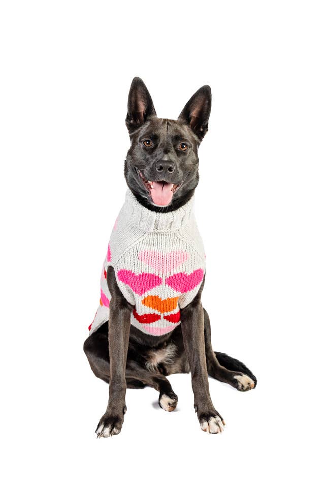 Puppy Love Knit Dog Sweater