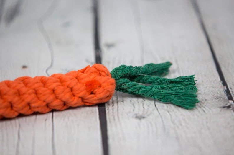 Carrot Rope Dog Toy