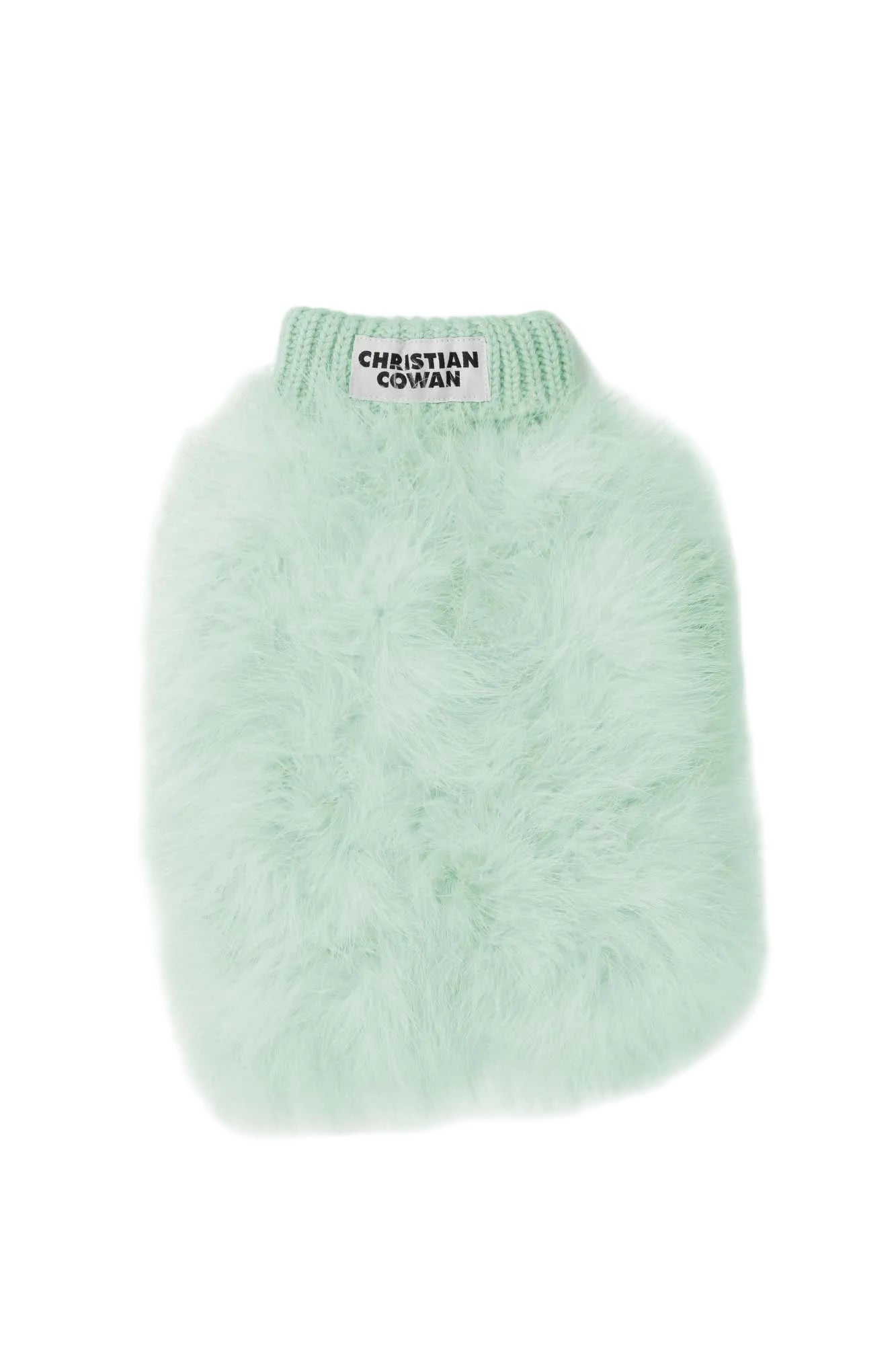 Christian Cowan x maxbone Jumper for Dogs: Mint / Large