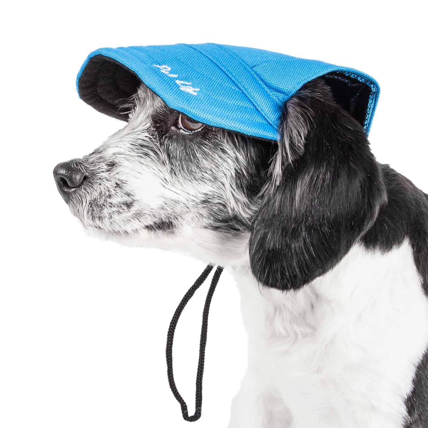 Black Dog Hat