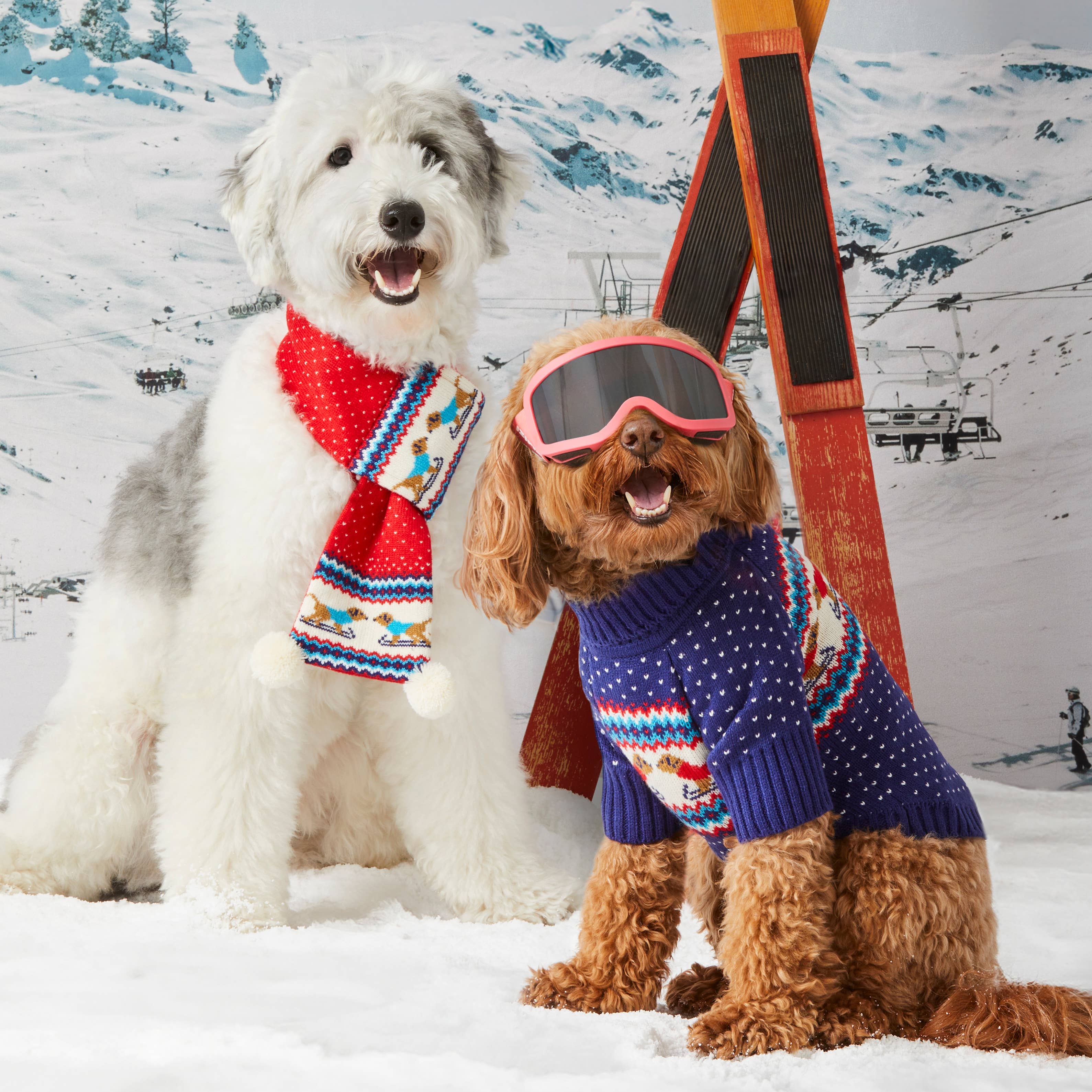 Knit Holiday Dog Scarf Foggy Dog
