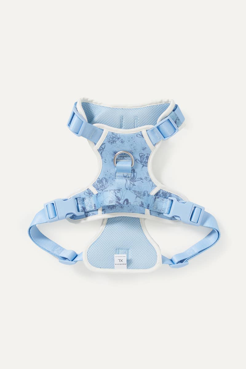 Bridgerton x maxbone Walk Set for Dogs: Large