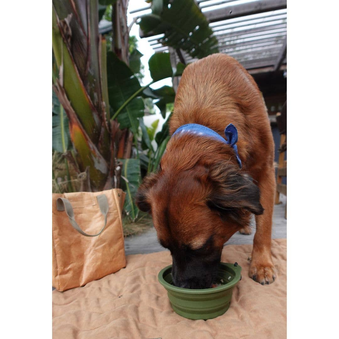 Desert Tones Travel Collapsible Pet Bowl with Carabiner Clip