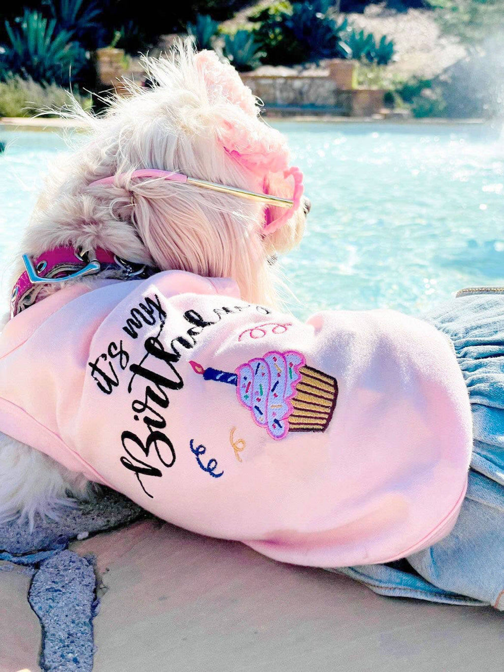 Birthday Girl Dog T-Shirt – Perfect for Dog Birthday Parties