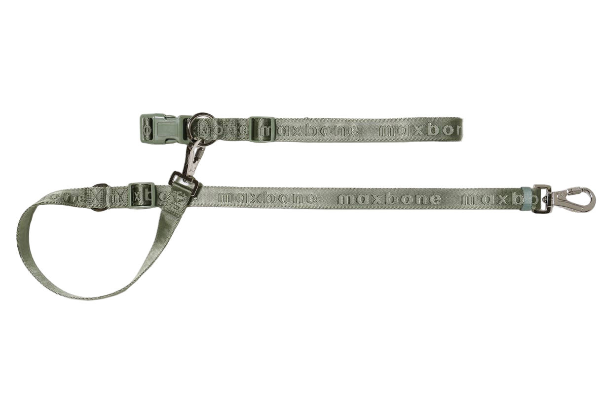 GO! With Ease Hands-Free Leash for Dogs