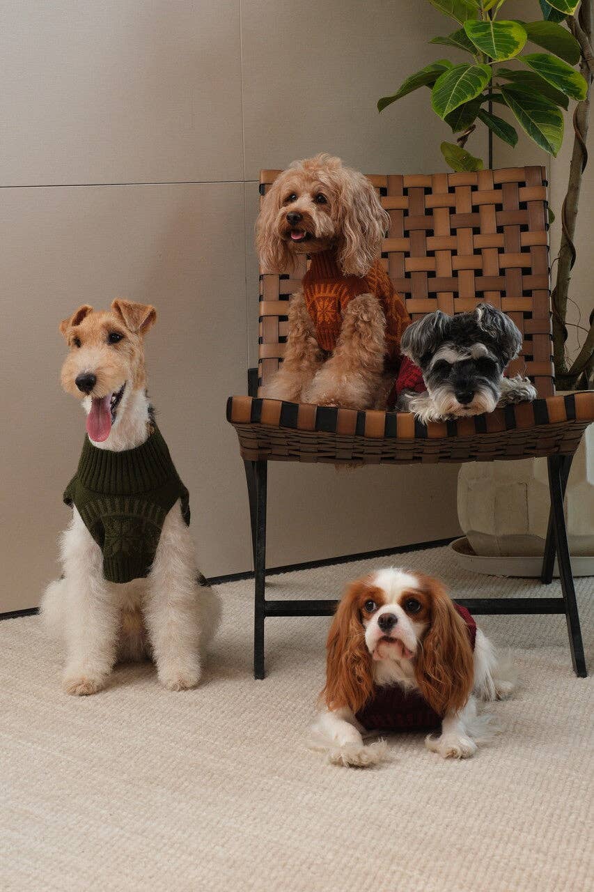 Pretzel Pet Sweater - Olive Green