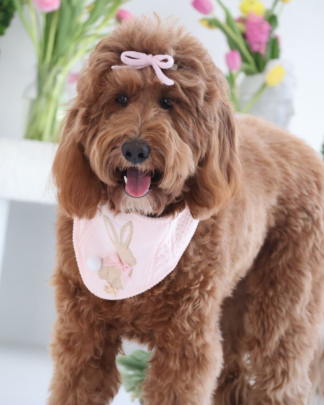 SPRING DOG BANDANA | MARLOWE