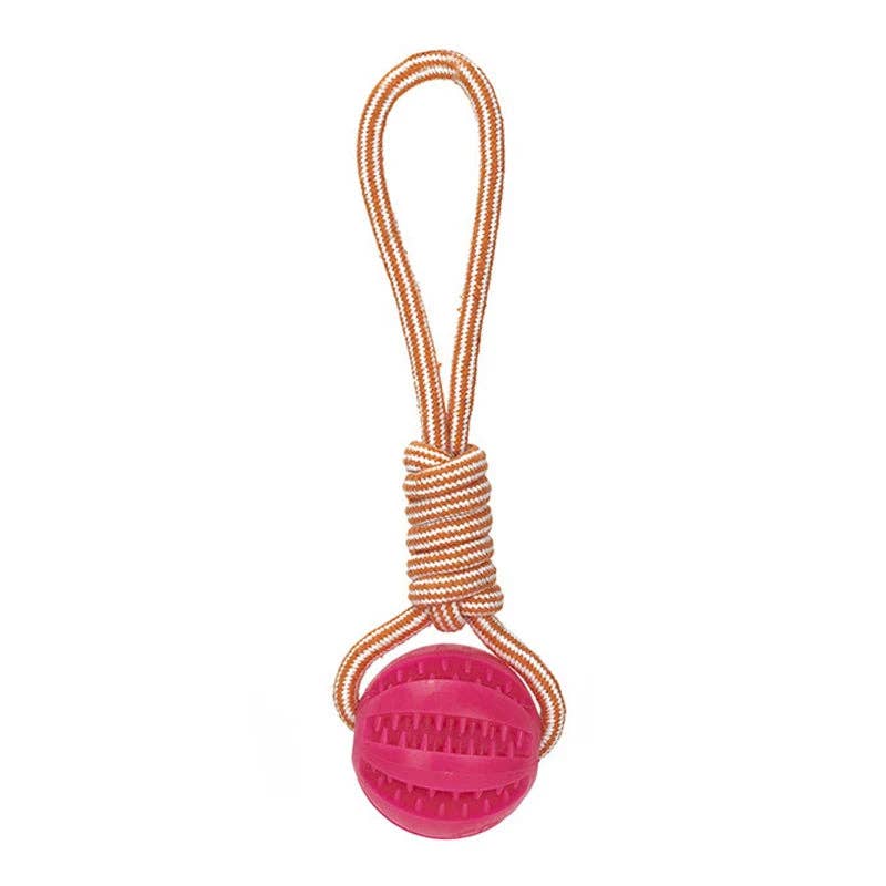 Dog Ball Toy with Rope Interactive