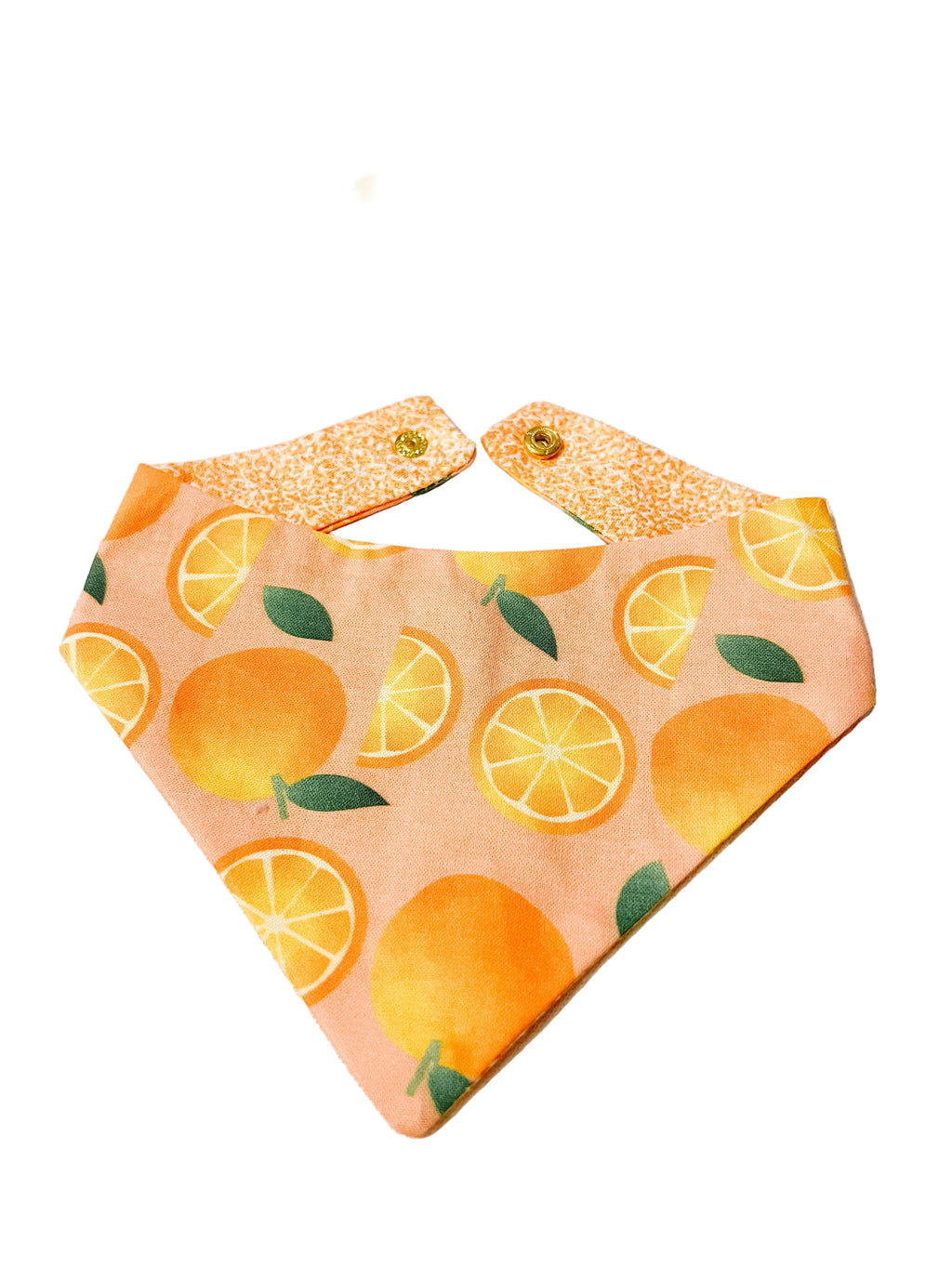 Summer Fruit Snap-On Reversible Dog Bandana, Curved Neck