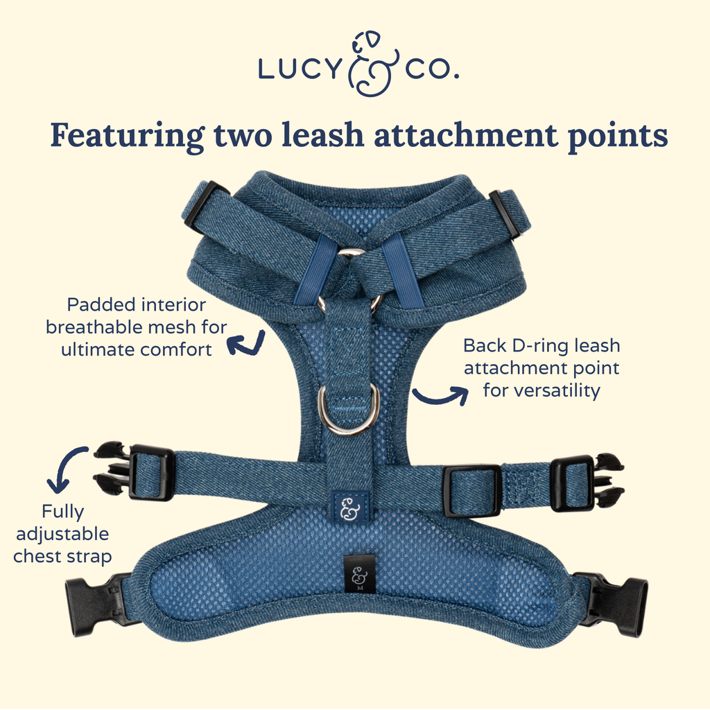 Giddy Up No-Pull Harness