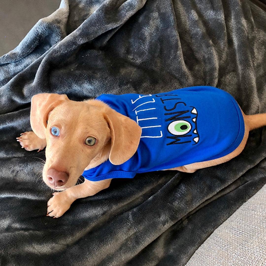 Little Monster Dog T-Shirt – Playful & Stylish Pet Shirt