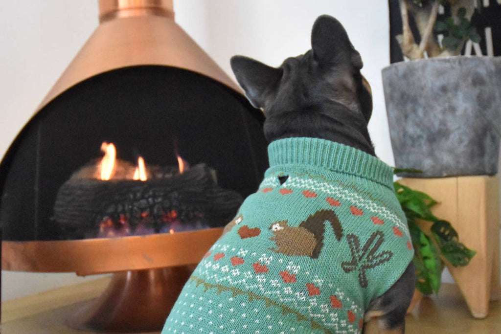 Fernfield Squirrel Sweater