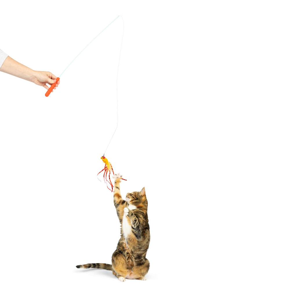 Teaser Hairball Whisky Cat Wand