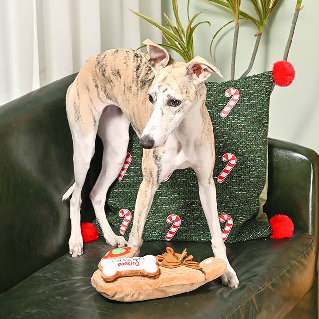 Cookie Board - Plush Toy