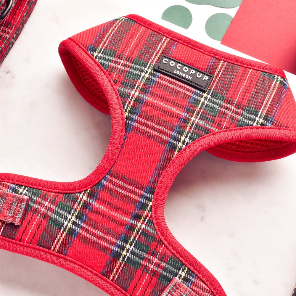 Tartan Adjustable Neck HARNESS