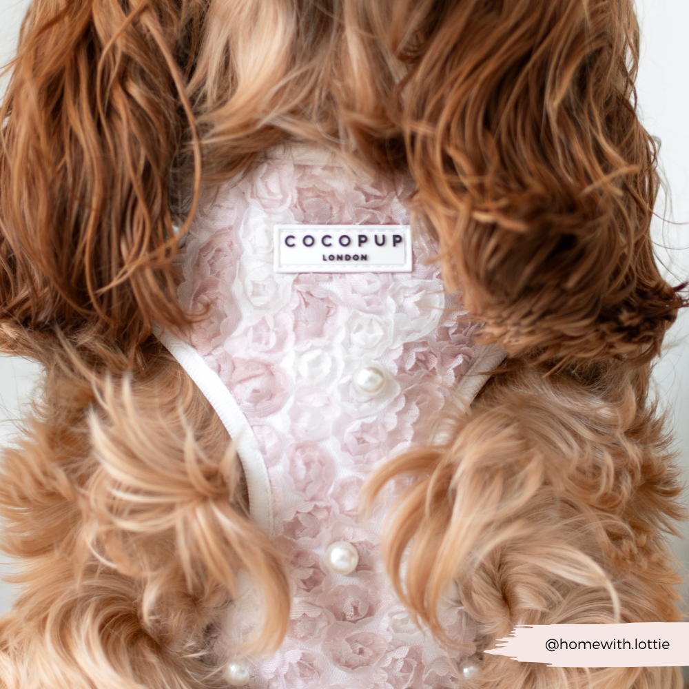 Pearly Pup Adjustable Neck HARNESS