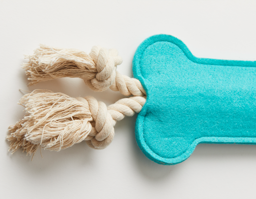 Hitch and Bone Teal Rope Toy