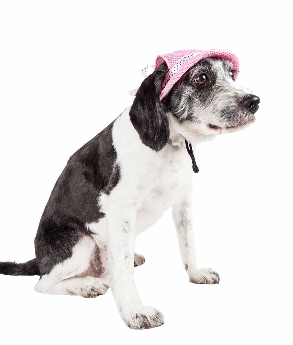UV Protectant Adjustable Dog Hat Cap