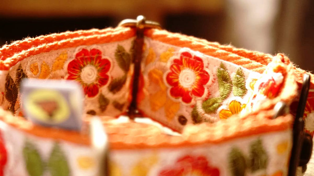 orange collar with floral design